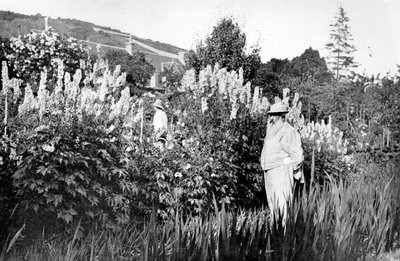 Claude Monet at Giverny, 1908 by French Photographer